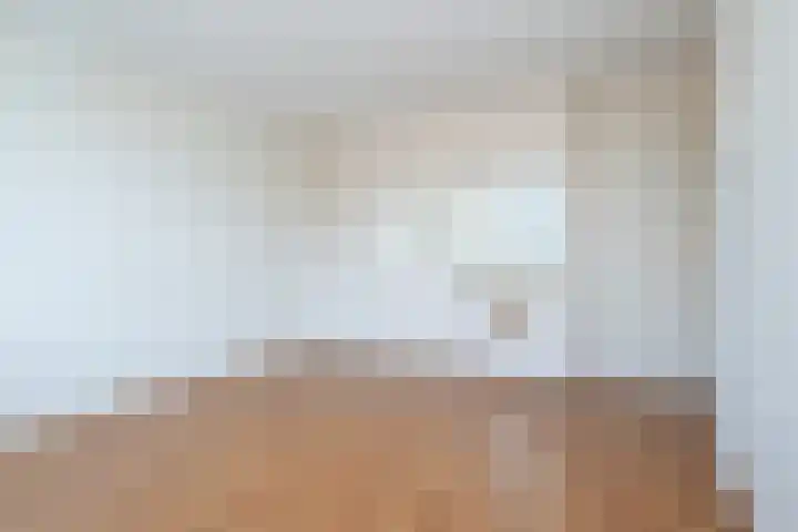 Rembrandtlaan 58 Middelharnis thumbnail 13