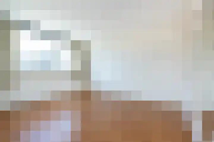 Rembrandtlaan 58 Middelharnis thumbnail 16