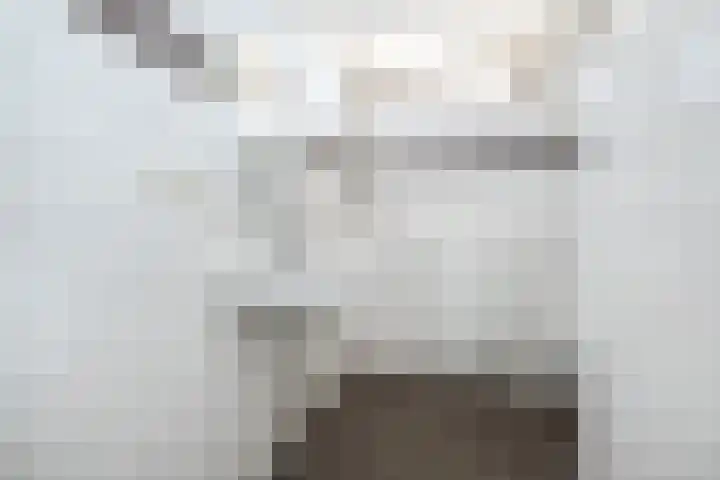 Rembrandtlaan 58 Middelharnis thumbnail 18