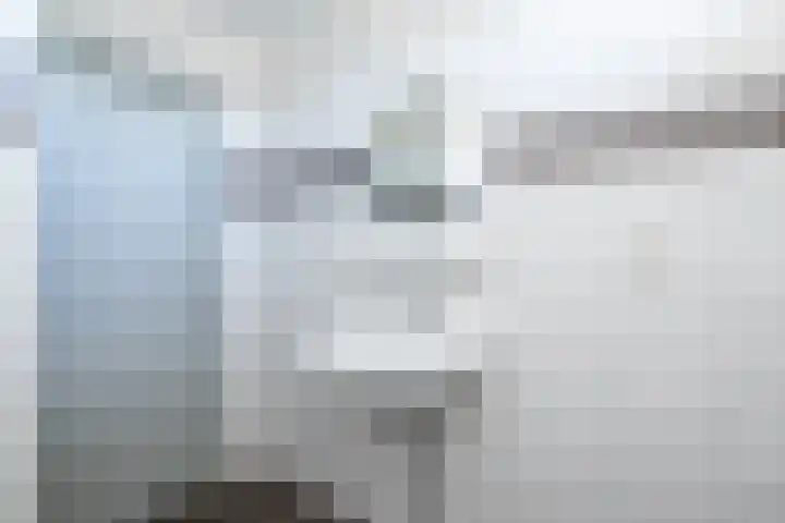 Rembrandtlaan 58 Middelharnis thumbnail 19