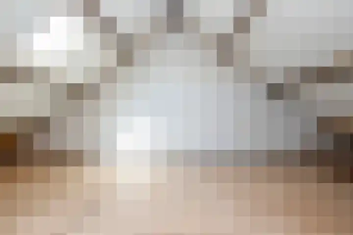 Rembrandtlaan 58 Middelharnis thumbnail 21
