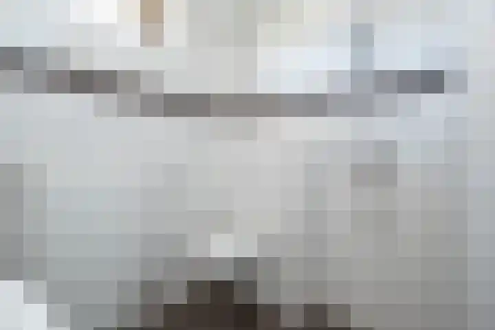 Rembrandtlaan 58 Middelharnis thumbnail 4