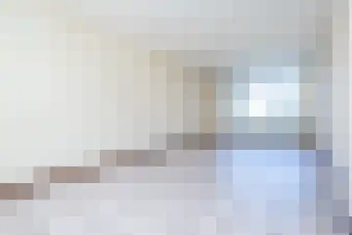 Rembrandtlaan 58 Middelharnis thumbnail 9