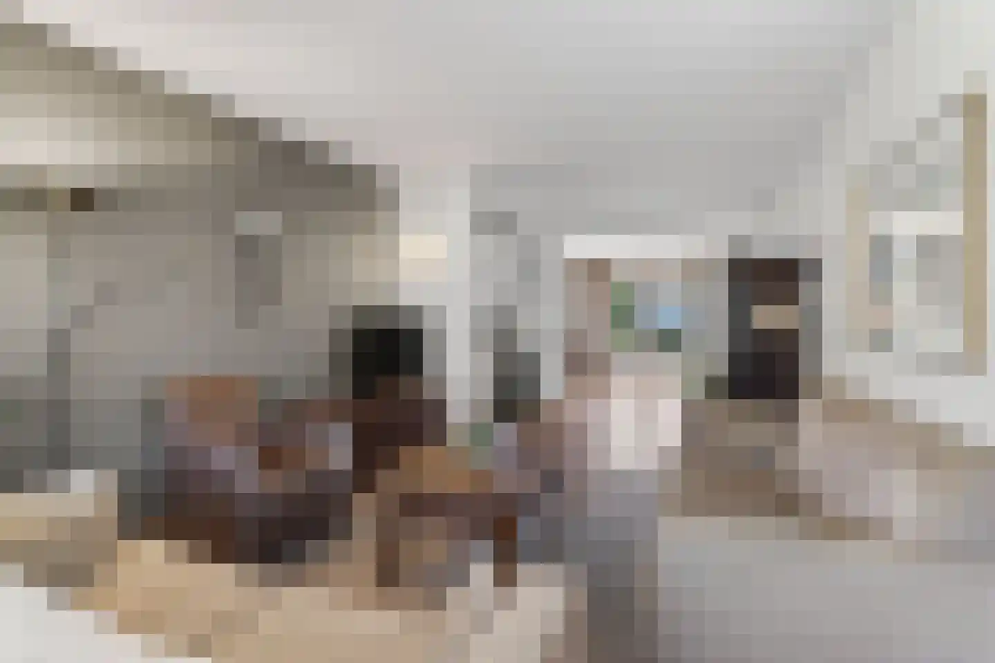 Rembrandtlaan 58 Vught thumbnail 4