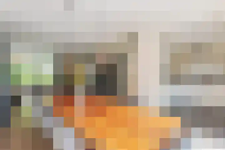 Rembrandtlaan 6 Heemstede thumbnail 13