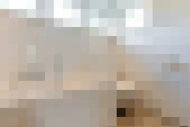 Rembrandtlaan 6 Heemstede thumbnail 40