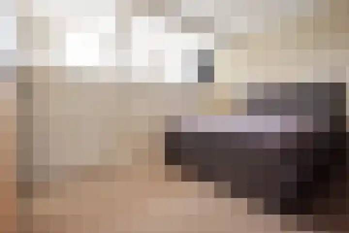 Rembrandtlaan 6 Heemstede thumbnail 51