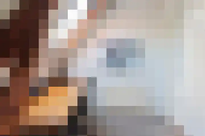 Rembrandtlaan 6 Heemstede thumbnail 57