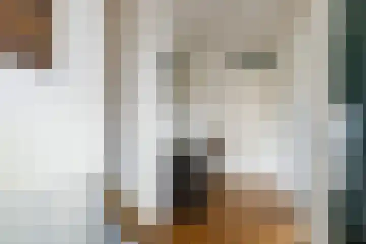 Rembrandtlaan 6 Lochem thumbnail 12