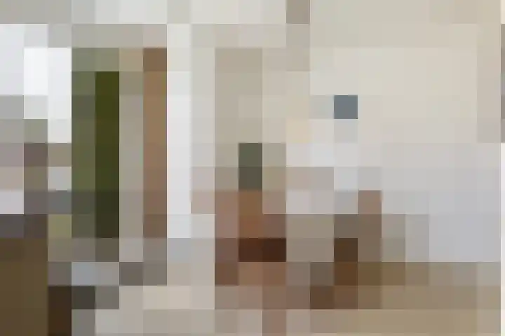 Rembrandtlaan 6 Lochem thumbnail 18