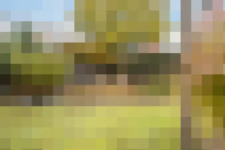 Rembrandtlaan 6 Lochem thumbnail 9