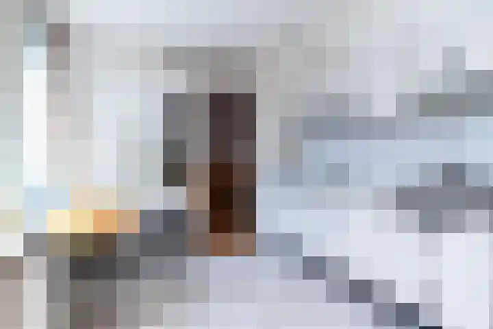 Rembrandtlaan 62 Eerbeek thumbnail 10