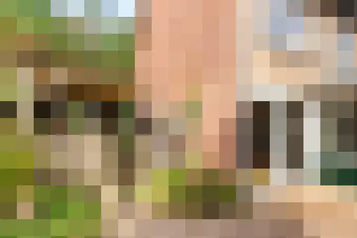 Rembrandtlaan 62 Eerbeek thumbnail 22