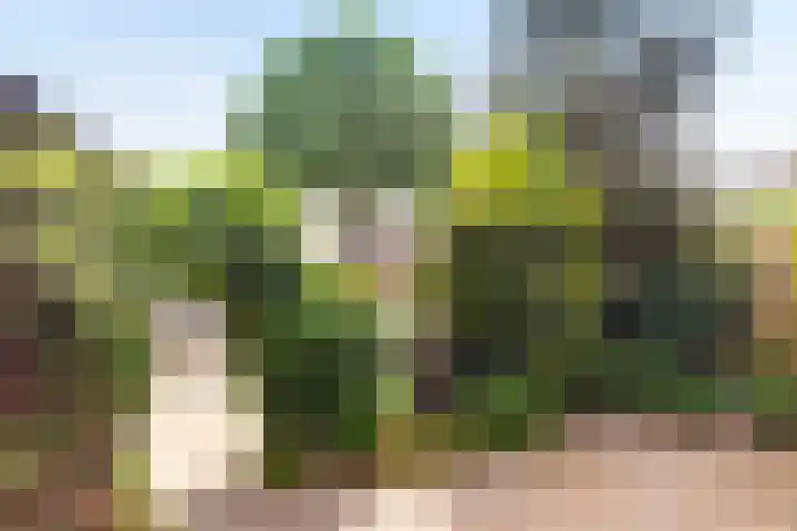 Rembrandtlaan 62 Eerbeek thumbnail 24