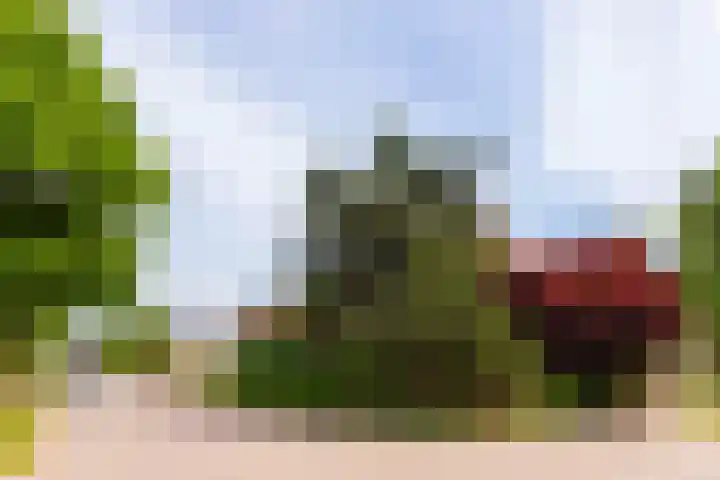 Rembrandtlaan 62 Eerbeek thumbnail 25