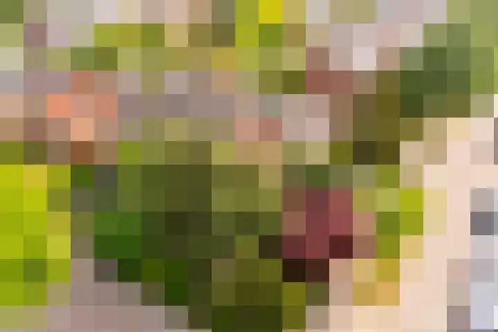 Rembrandtlaan 62 Eerbeek thumbnail 27