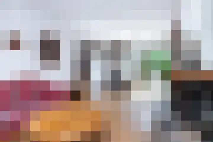 Rembrandtlaan 62 Eerbeek thumbnail 5