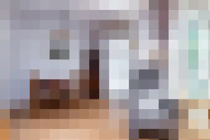 Rembrandtlaan 62 Eerbeek thumbnail 8