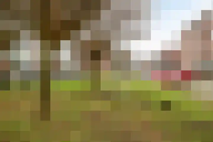 Rembrandtlaan 62 Enschede thumbnail 28