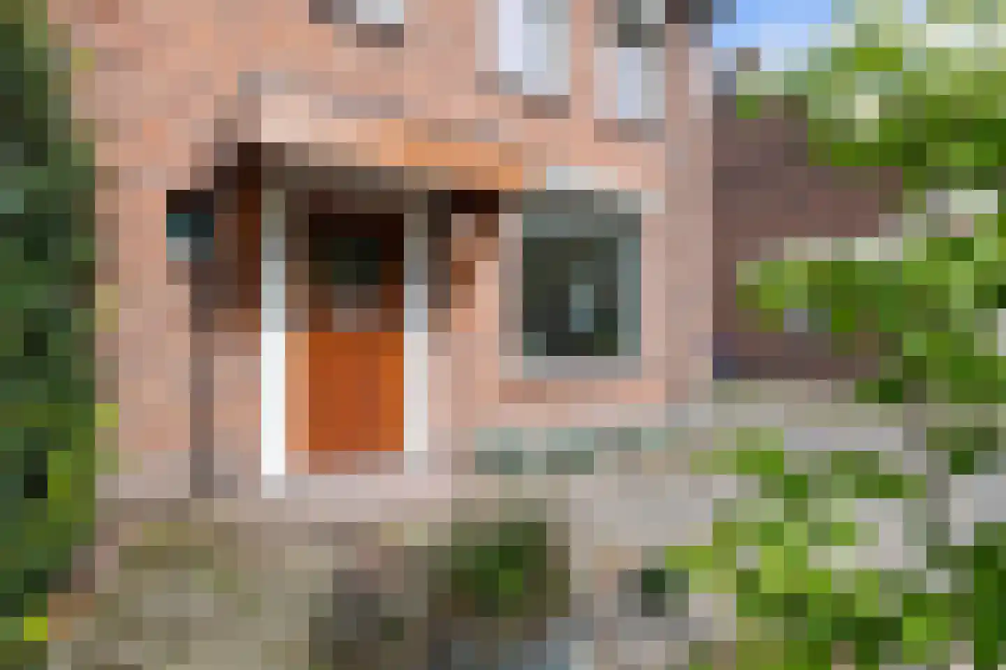 Rembrandtlaan 62 Vught thumbnail 31