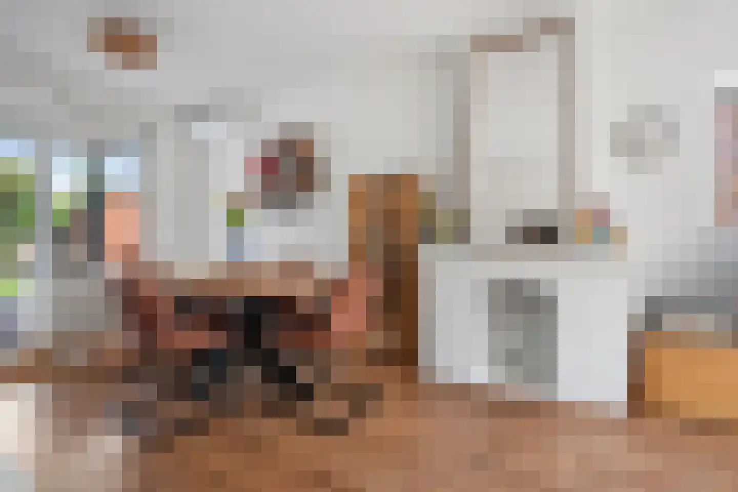 Rembrandtlaan 62 Vught thumbnail 7