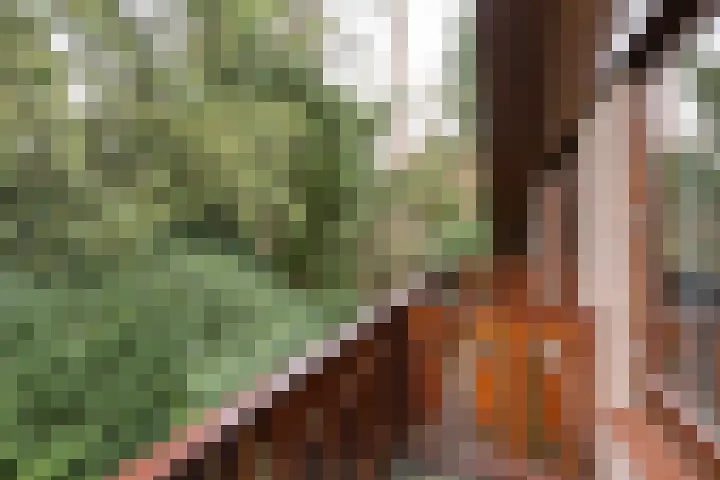 Rembrandtlaan 63 Bilthoven thumbnail 33