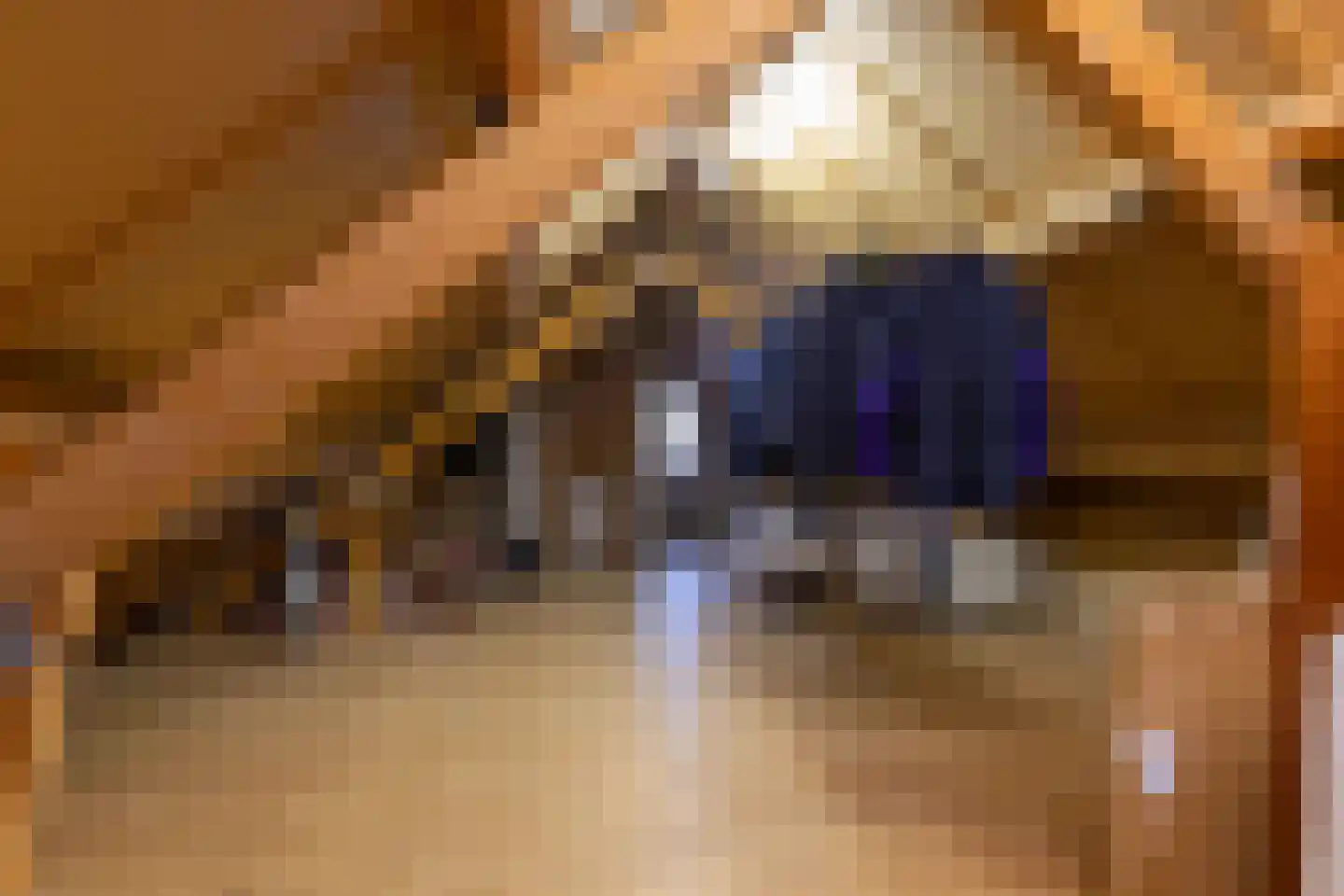 Rembrandtlaan 63 Bilthoven thumbnail 40