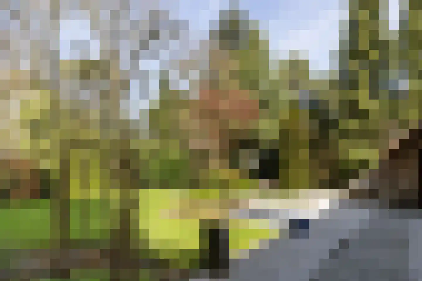 Rembrandtlaan 63 Bilthoven thumbnail 41