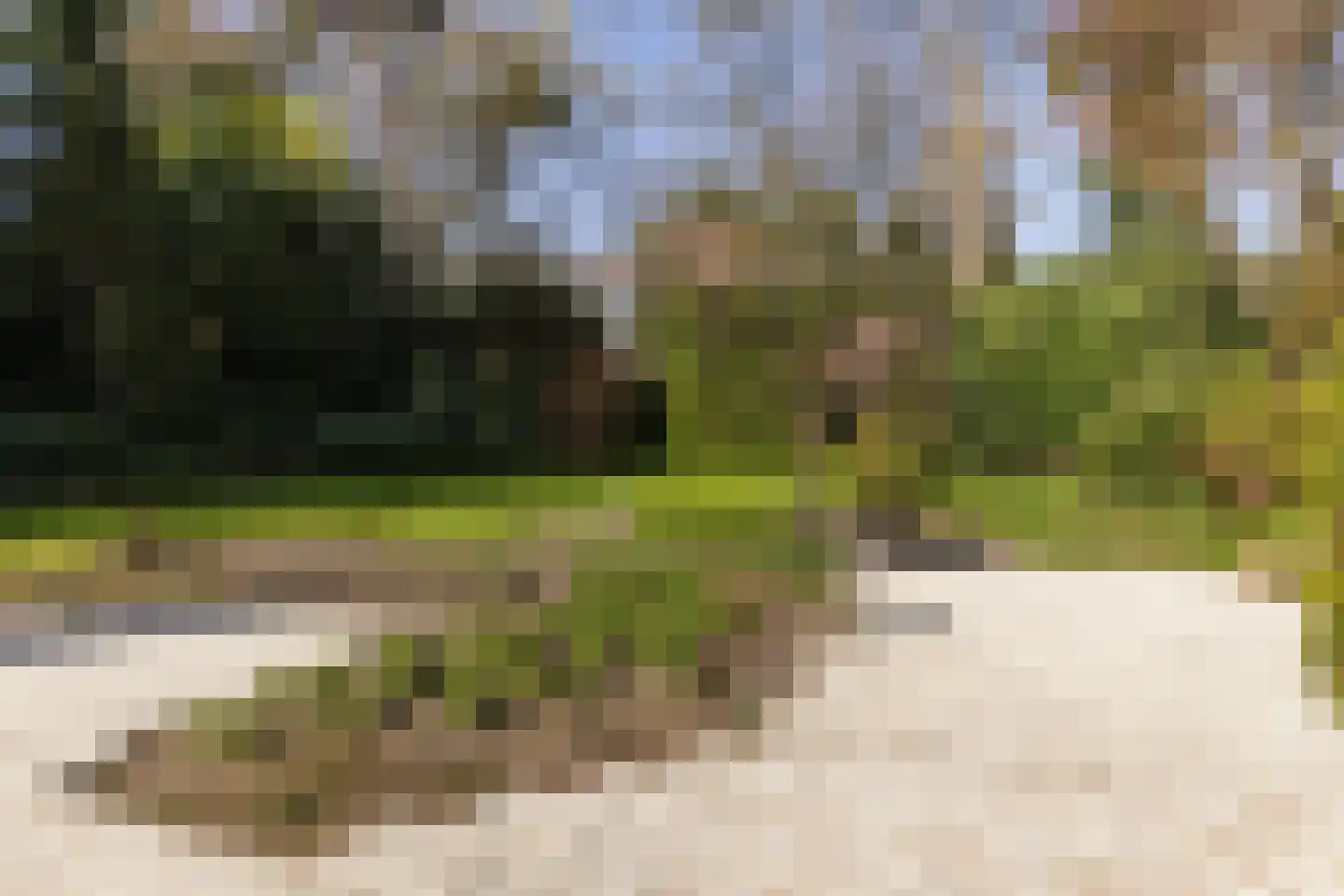 Rembrandtlaan 63 Bilthoven thumbnail 43