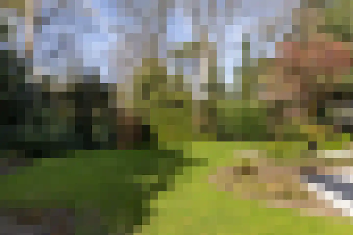 Rembrandtlaan 63 Bilthoven thumbnail 44