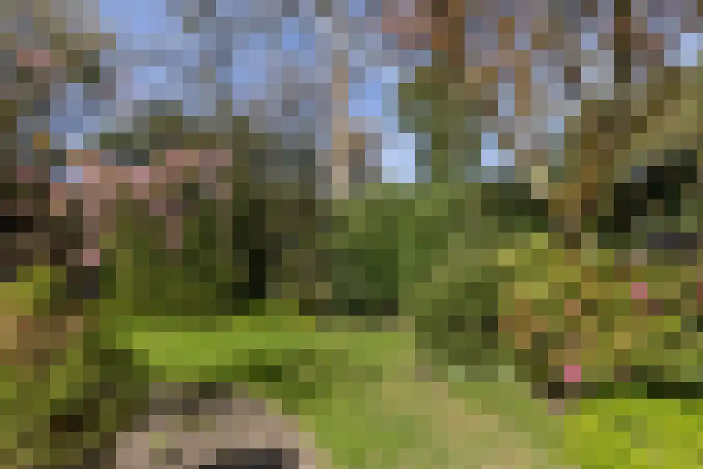 Rembrandtlaan 63 Bilthoven thumbnail 46