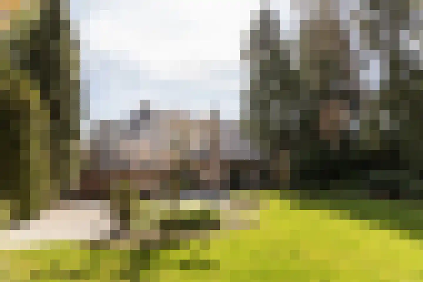 Rembrandtlaan 63 Bilthoven thumbnail 48