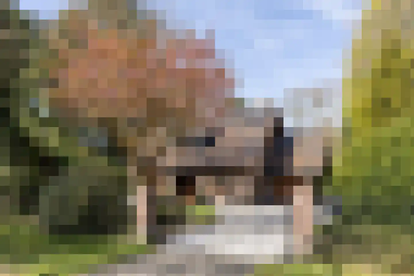 Rembrandtlaan 63 Bilthoven thumbnail 50