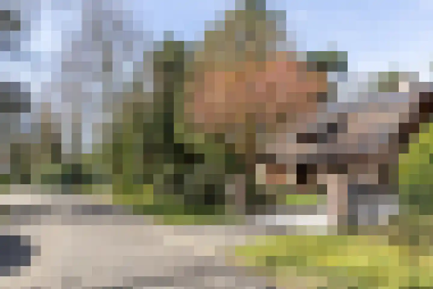 Rembrandtlaan 63 Bilthoven thumbnail 51