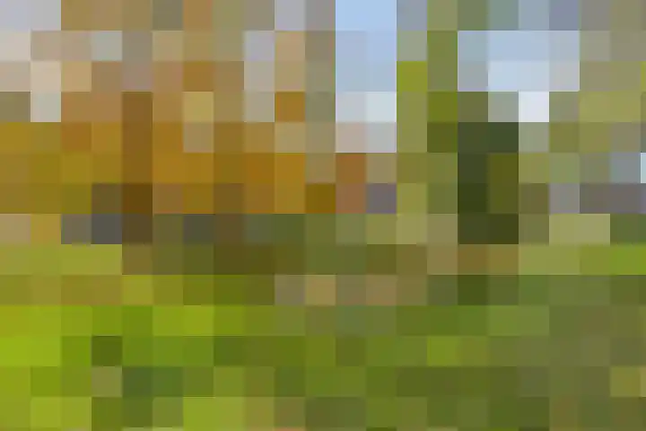 Rembrandtlaan 63 Oosterhout thumbnail 27