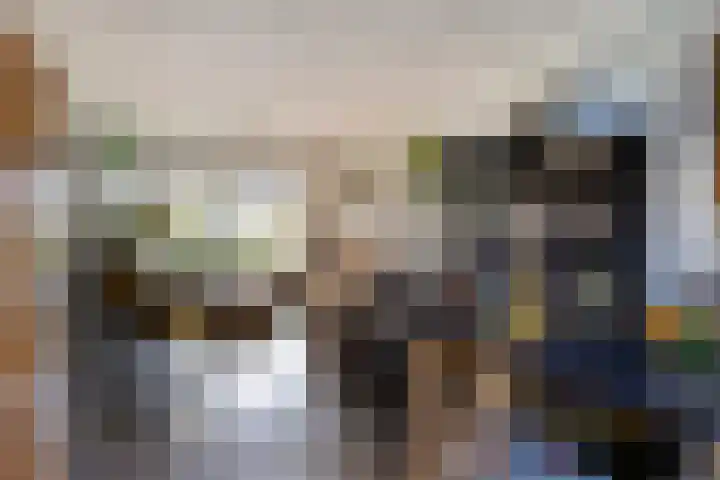 Rembrandtlaan 63 Oosterhout thumbnail 8