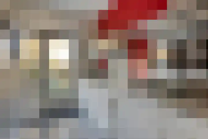 Rembrandtlaan 63 Oosterhout thumbnail 9