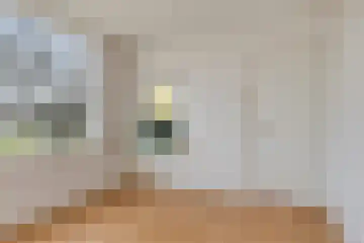 Rembrandtlaan 64 Alphen aan den Rijn thumbnail 12