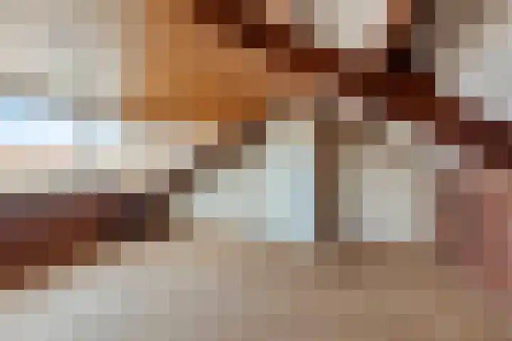Rembrandtlaan 64 Alphen aan den Rijn thumbnail 16