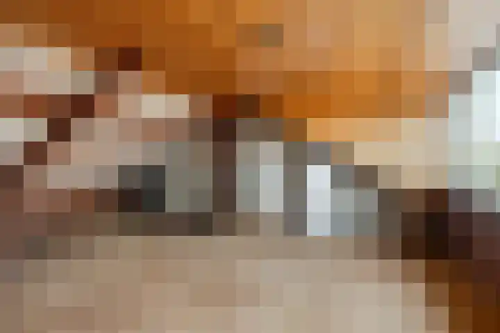 Rembrandtlaan 64 Alphen aan den Rijn thumbnail 17