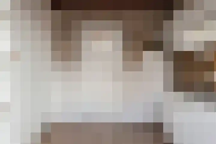 Rembrandtlaan 64 Alphen aan den Rijn thumbnail 8