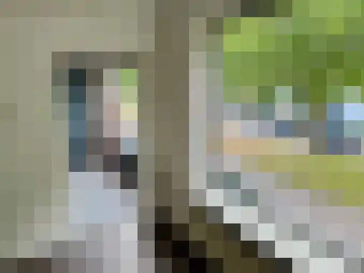 Rembrandtlaan 65 Hoogezand thumbnail 9