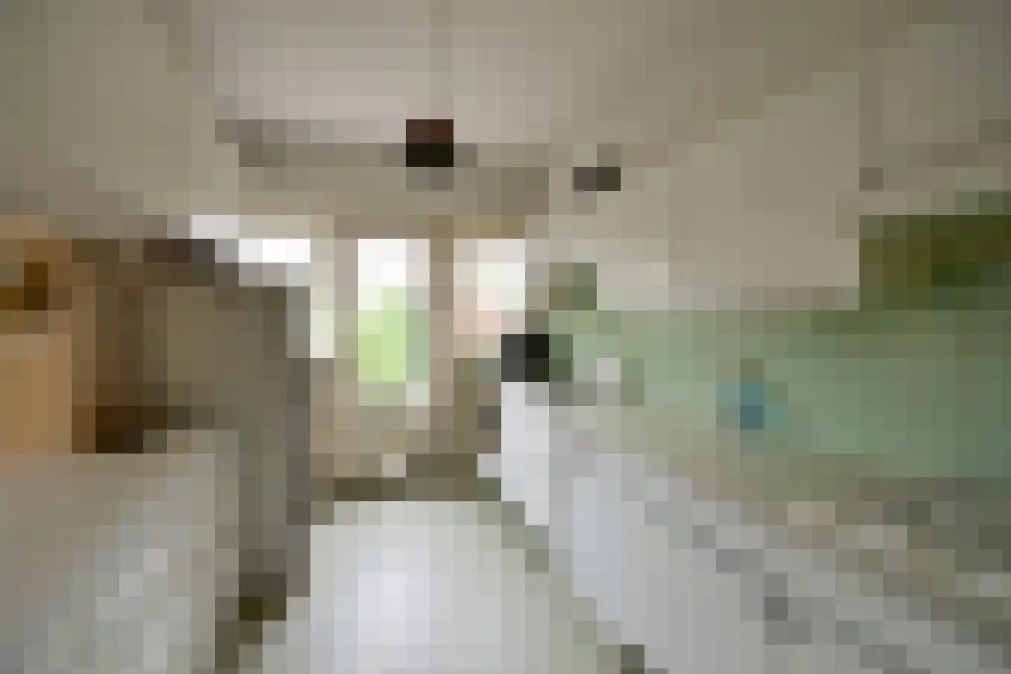 Rembrandtlaan 65 Naarden thumbnail 10