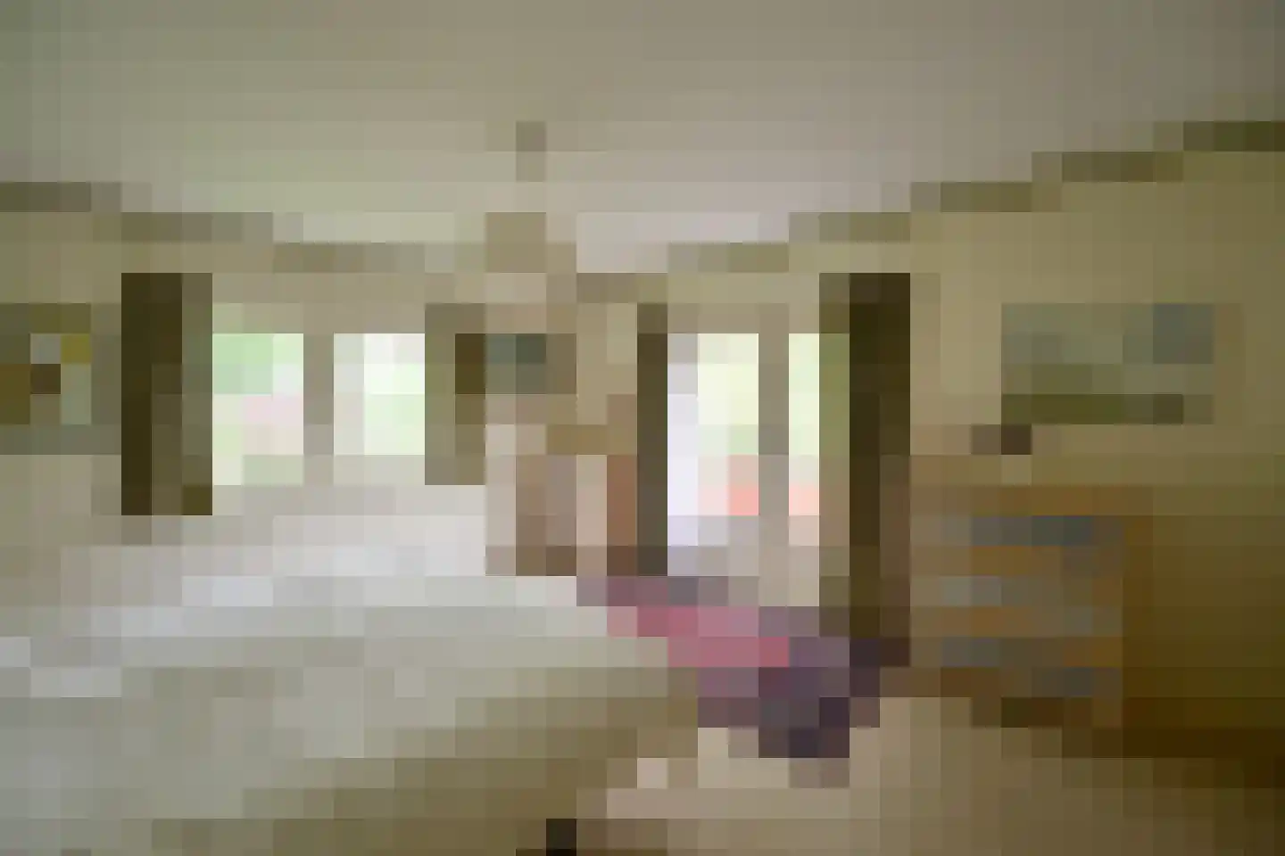 Rembrandtlaan 65 Naarden thumbnail 12