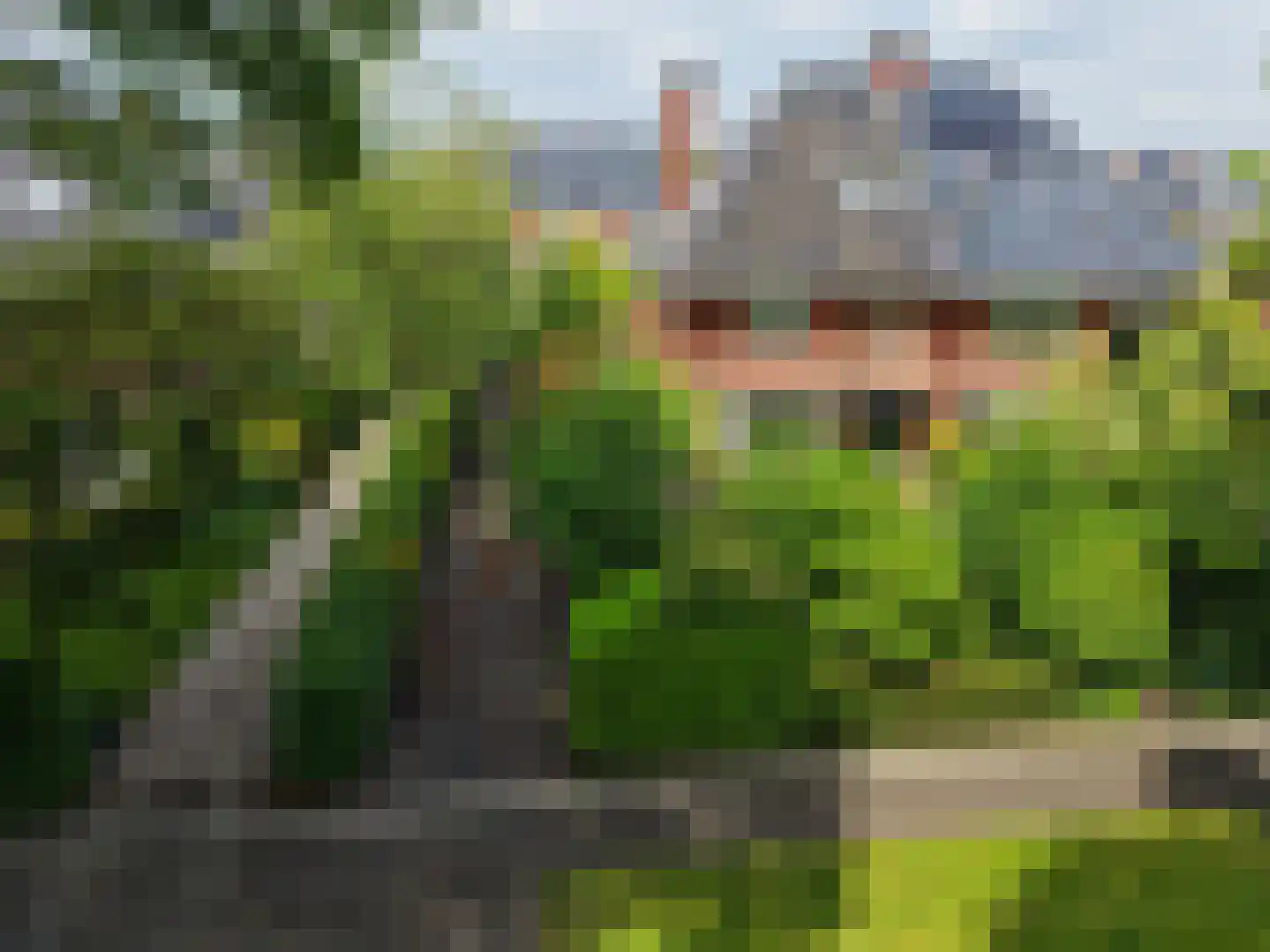 Rembrandtlaan 65 Naarden thumbnail 27