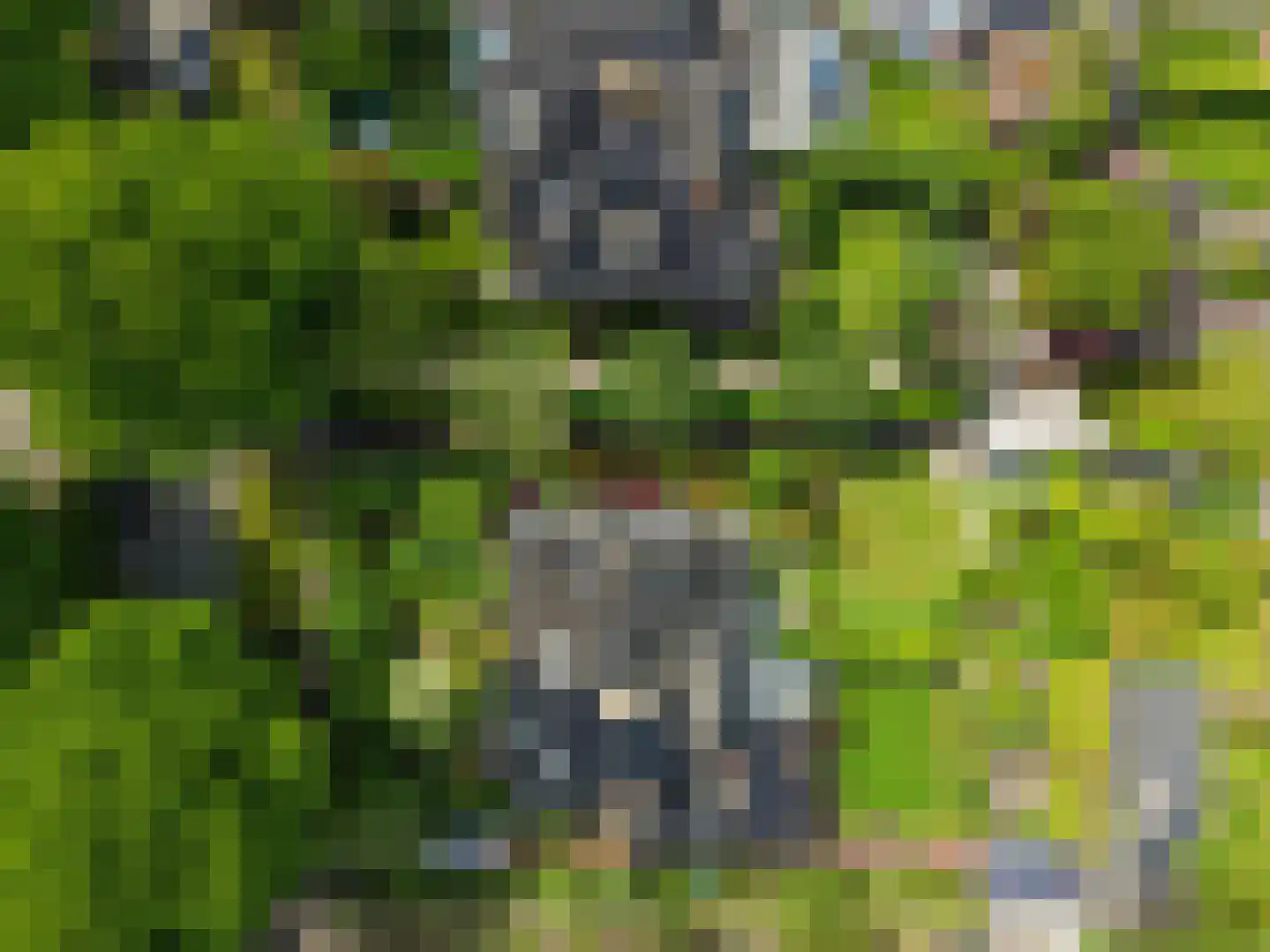 Rembrandtlaan 65 Naarden thumbnail 32
