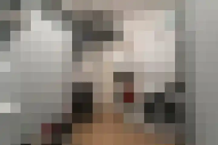 Rembrandtlaan 66 11 Meppel thumbnail 25
