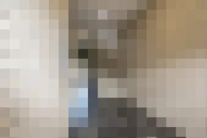 Rembrandtlaan 66 11 Meppel thumbnail 32