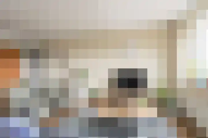Rembrandtlaan 66 11 Meppel thumbnail 5