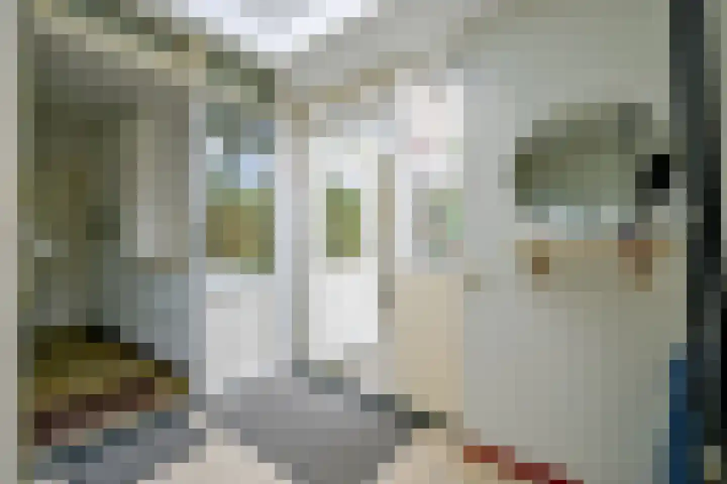 Rembrandtlaan 68 Schagen thumbnail 15
